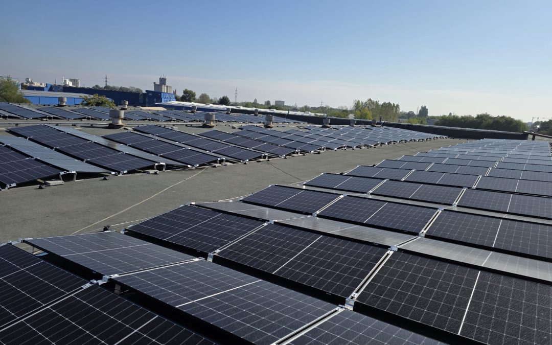 Investiția strategică în energie verde: analiza proiectelor fotovoltaice de mare putere